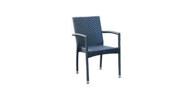Palm Arm Chair 