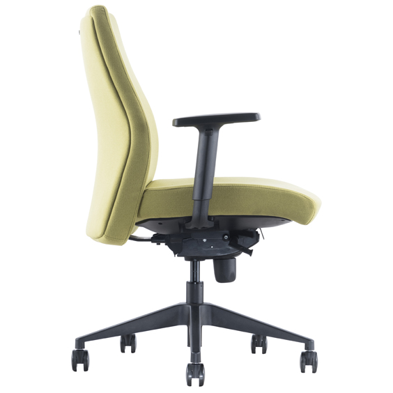 Austin Low Back Executive