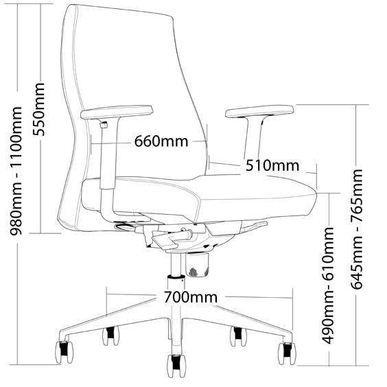 Austin Low Back Executive