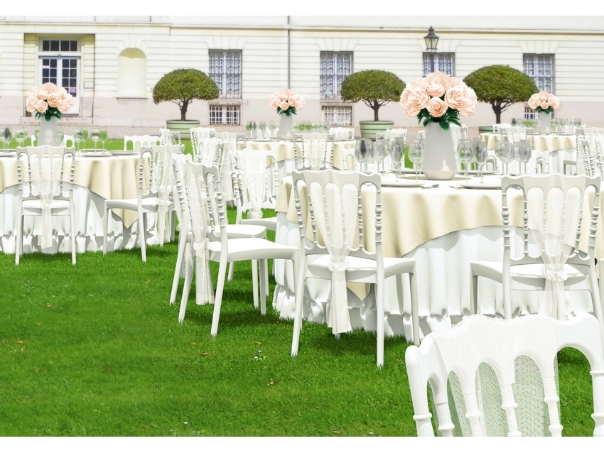 Napolean Wedding Chair