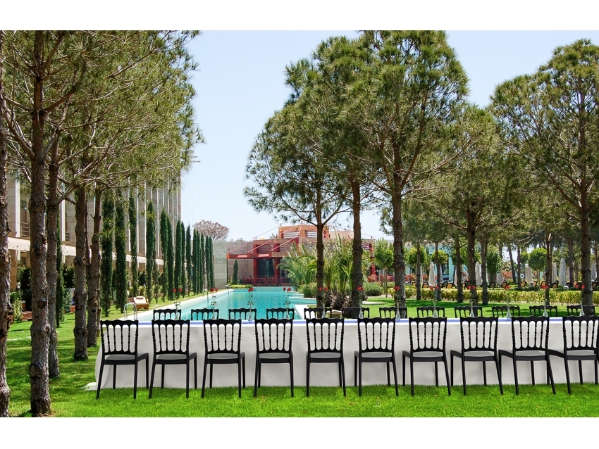 Napolean Wedding Chair