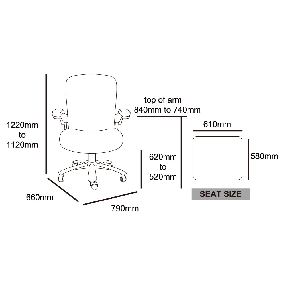 Aero 200Plus PU Executive