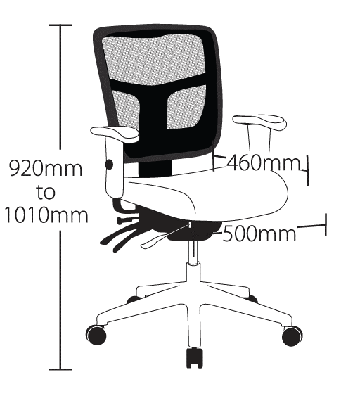 Oyster Low Back Task Chair