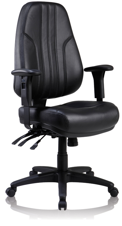 Rover Leather High Back Task Chair