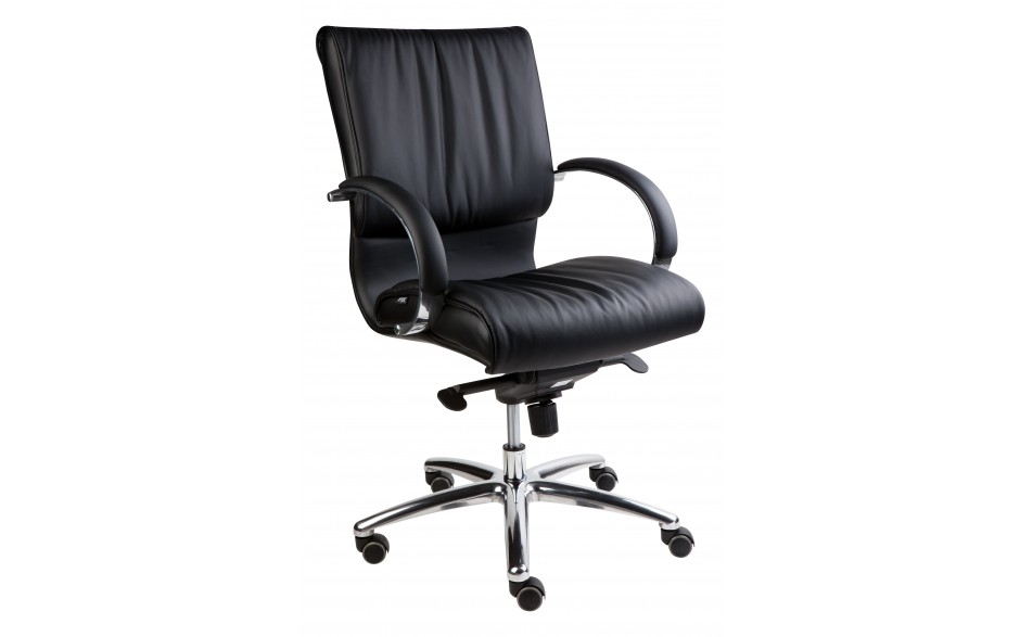 Lexus Low Back Executive