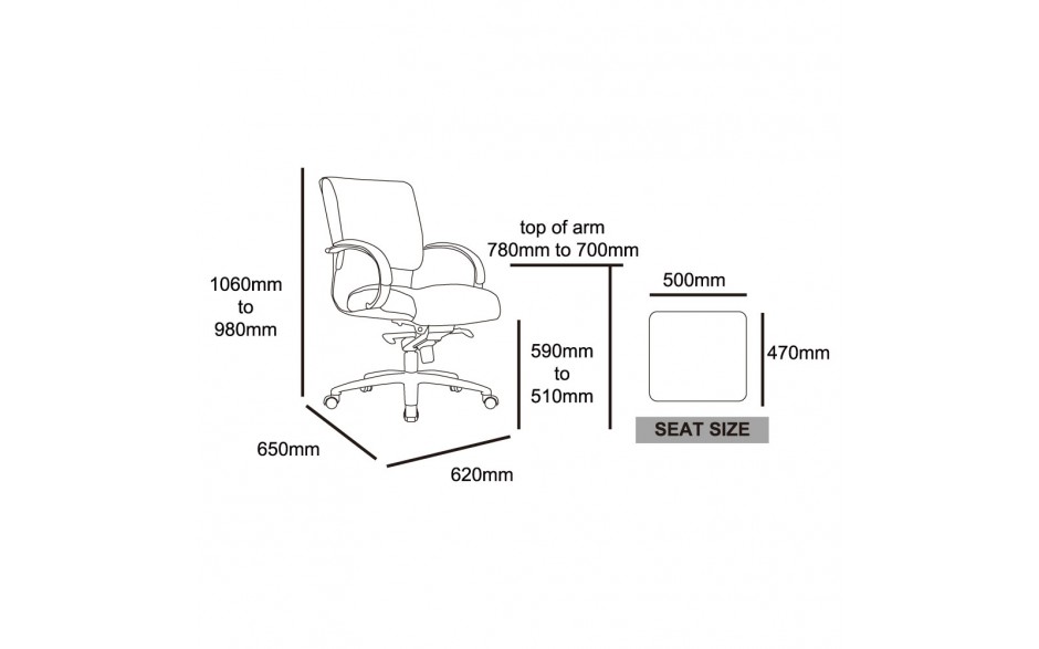 Lexus Low Back Executive