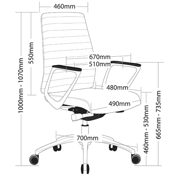 Enzo Low Back Executive