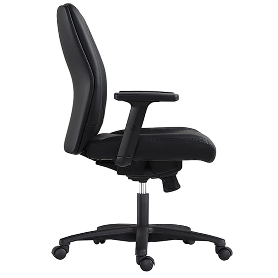 Hilton Low Back Executive