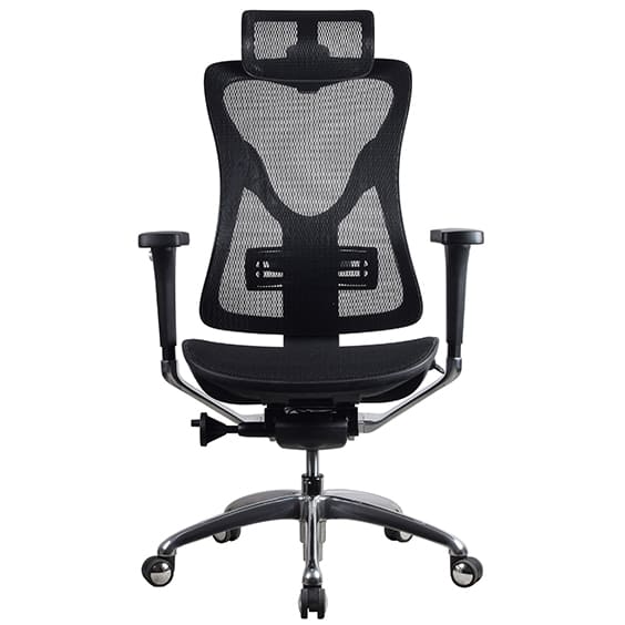 Renata High Back Executive with Headrest