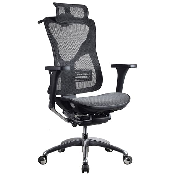 Renata High Back Executive with Headrest