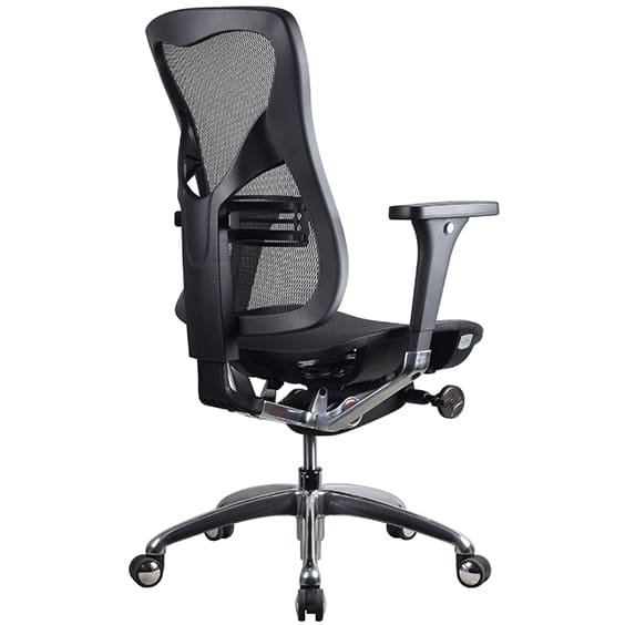 Renata Low Back Executive