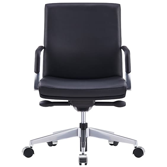 Select Low Back Executive