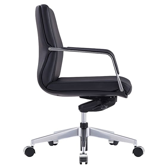 Select Low Back Executive