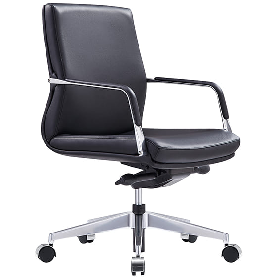 Select Low Back Executive