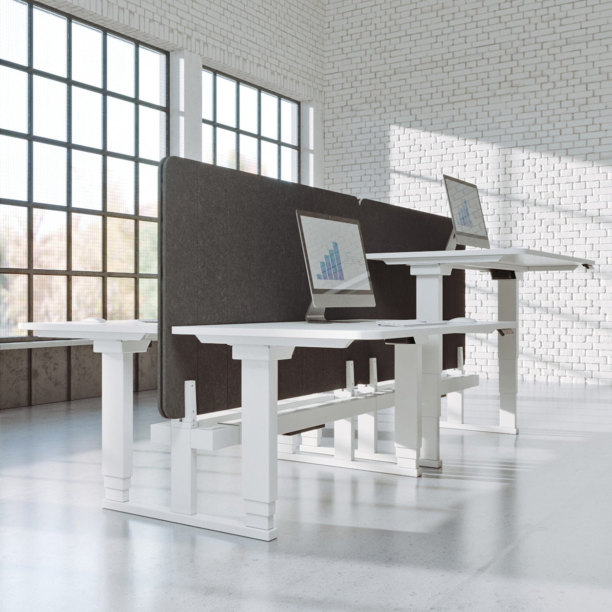 Eon Workstation System