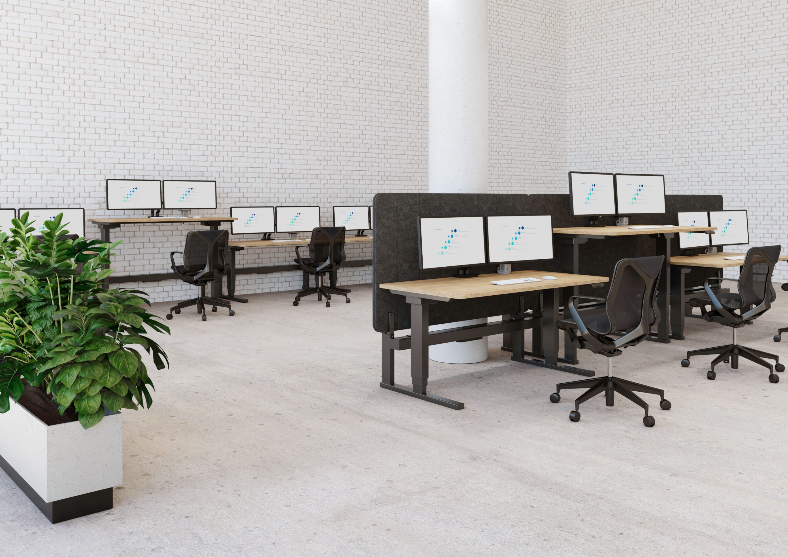 Eon Workstation System