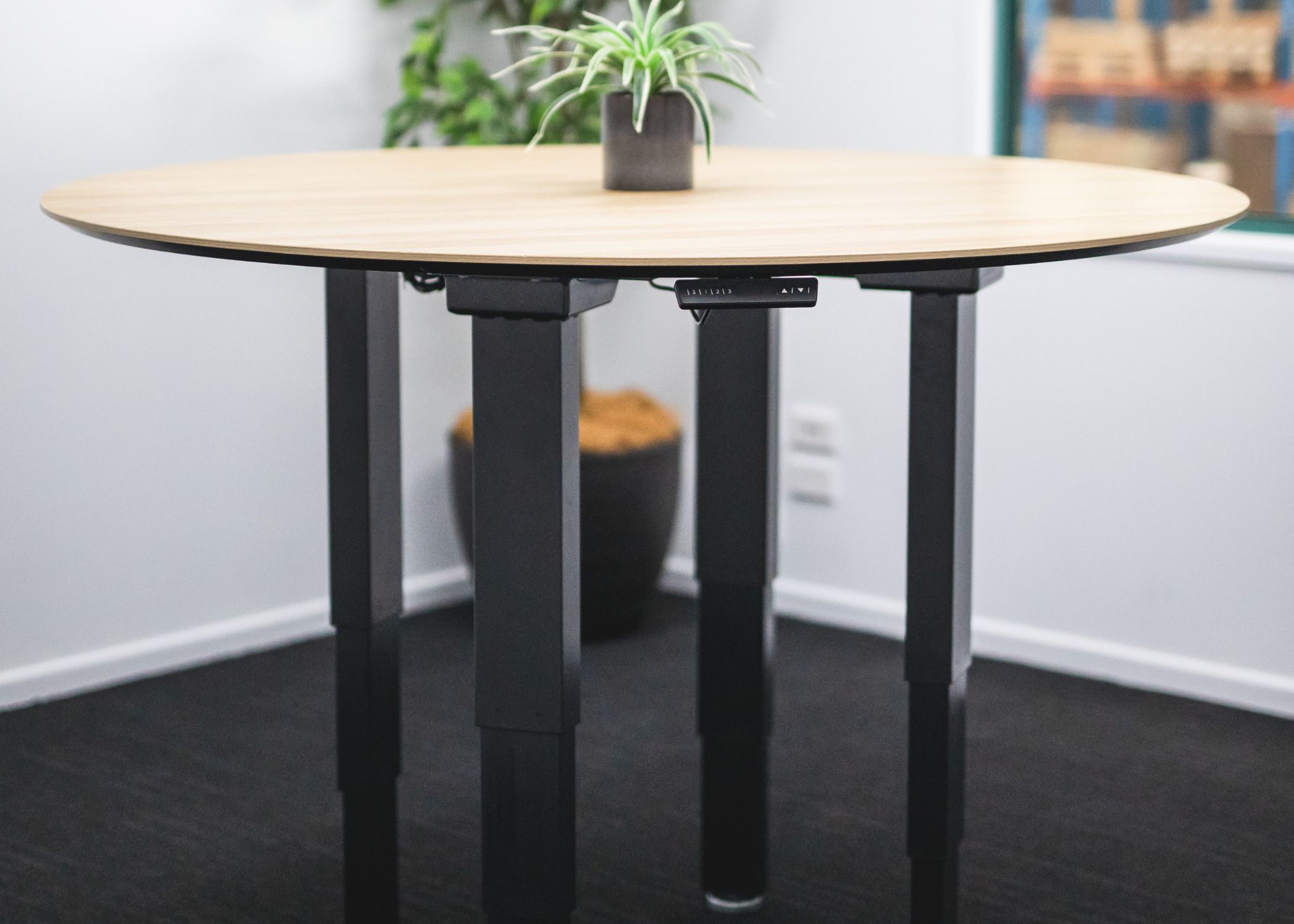 Eon Custom Adjustable Desk Frame