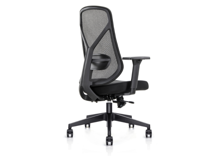 Zara Task Chair